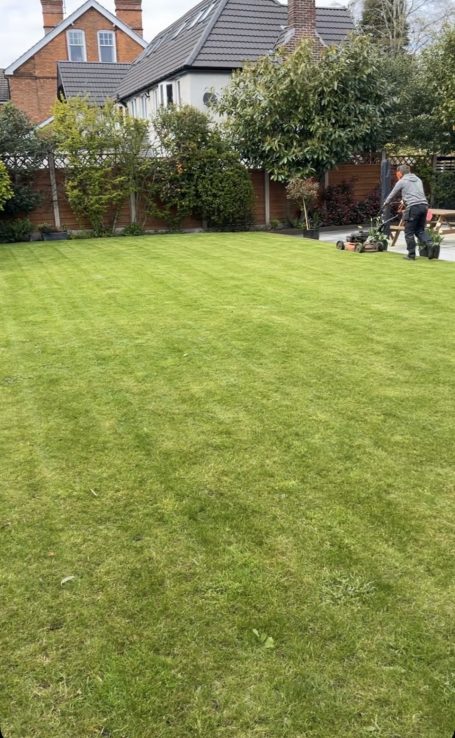 Lawn care